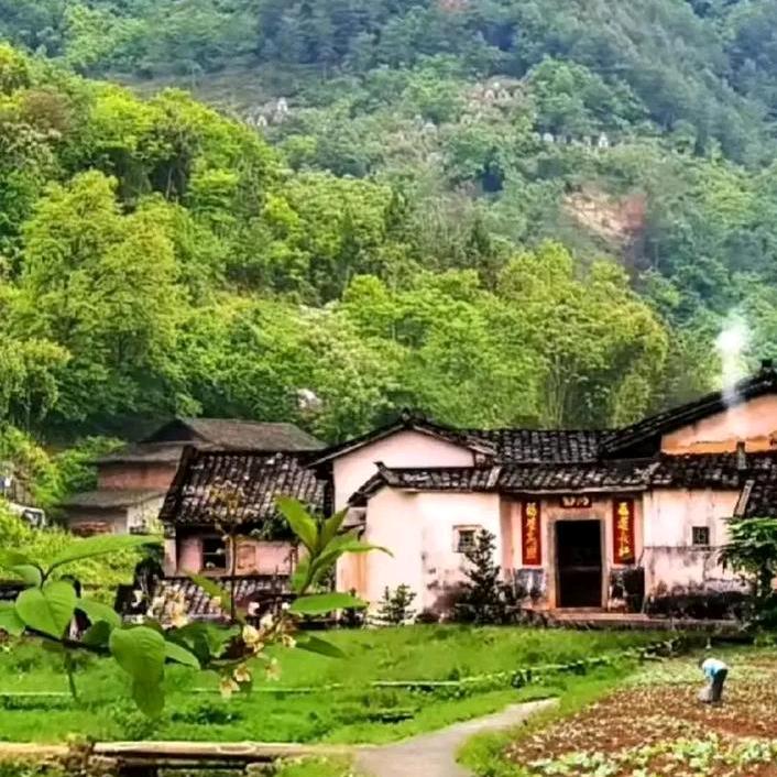 山月🍁伴耕🌾