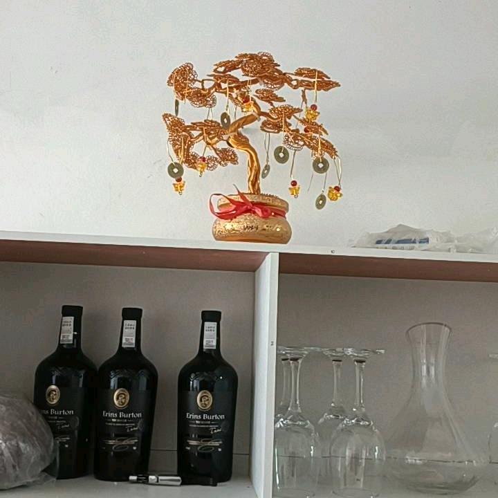 彭水坤爷（努力搬砖中）