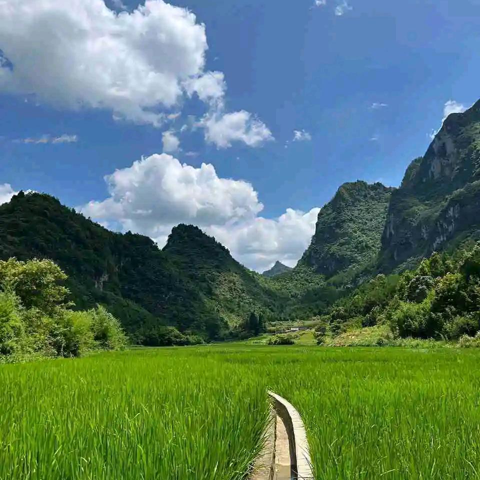 钰