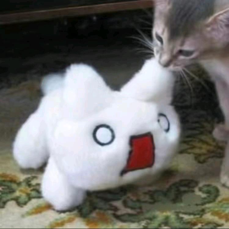 得不到外界认可我会死