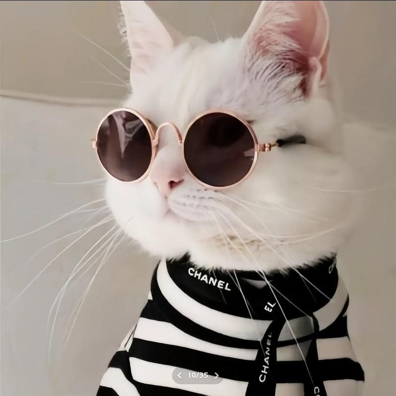 小天天 （三角洲行动）