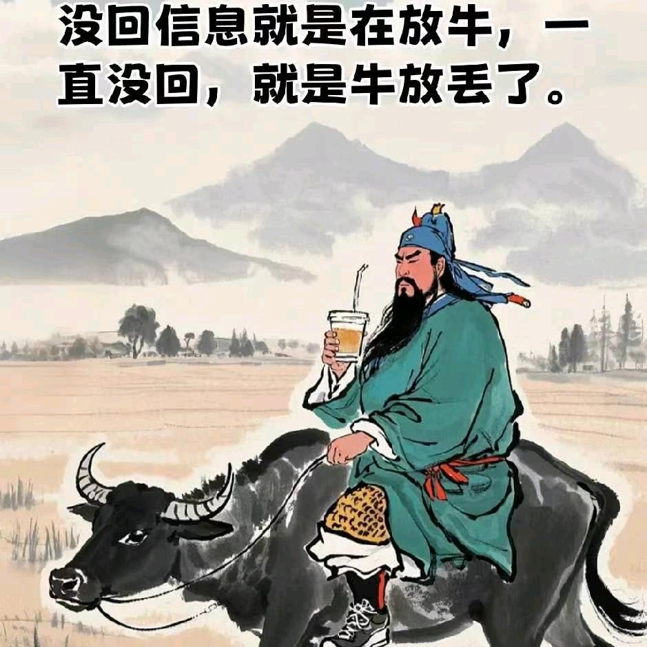 野猫哥