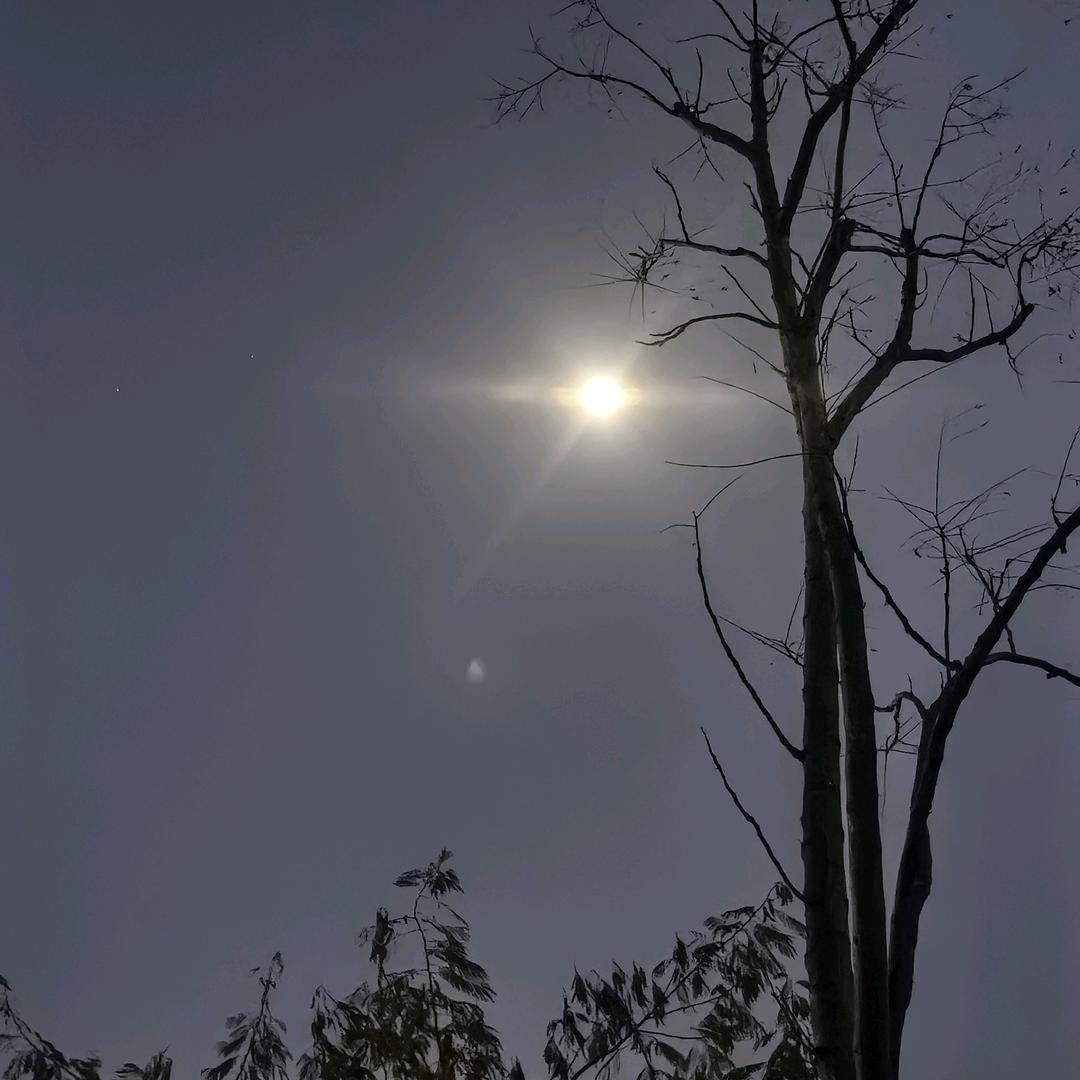 天生反骨(ꐦÒ‸Ó)