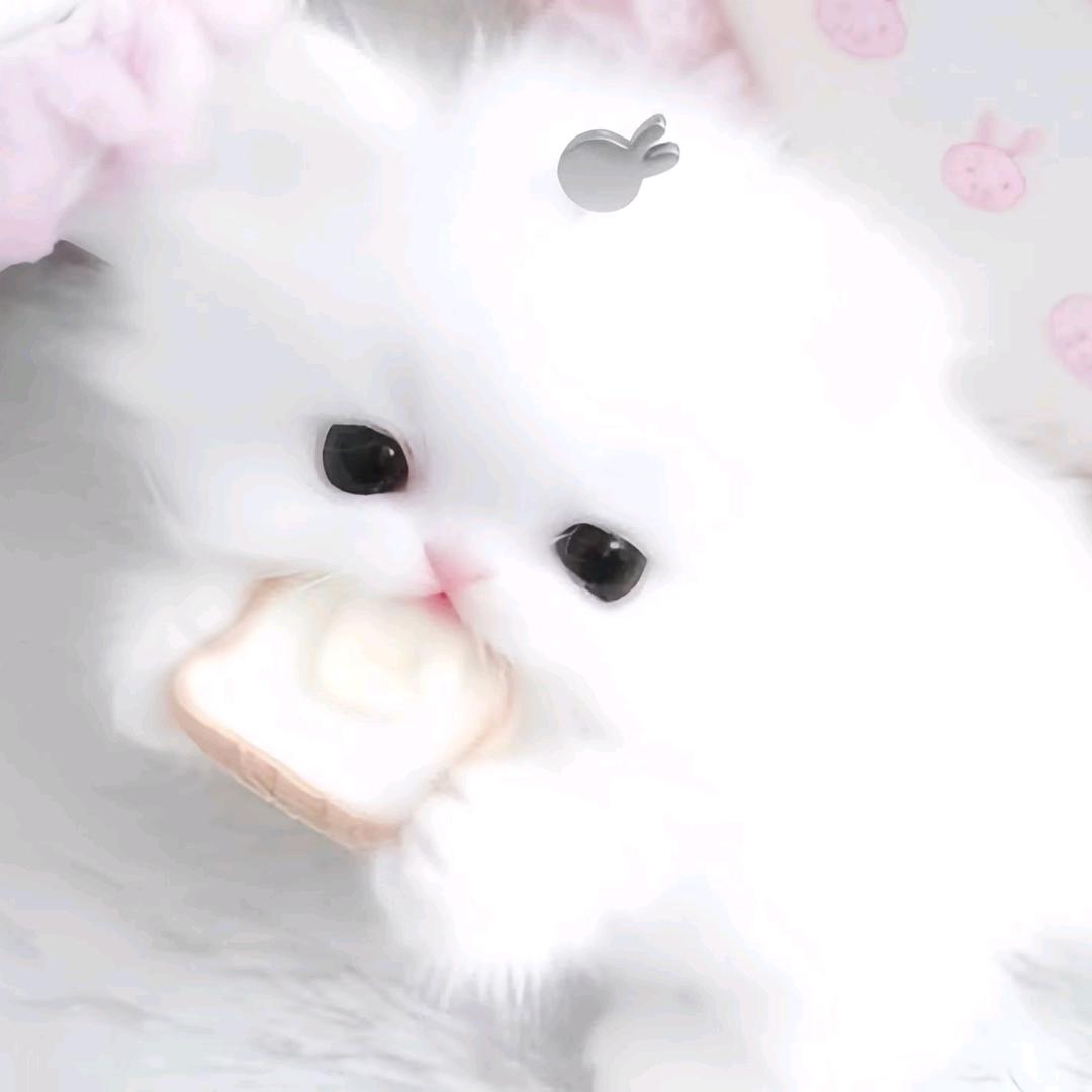 天真也是罪