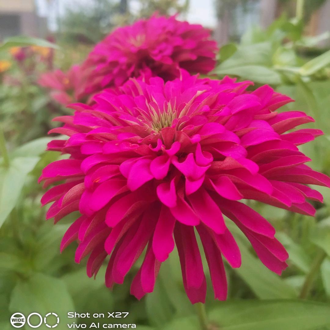 低调，然后偷偷发财吧！💰💰💰