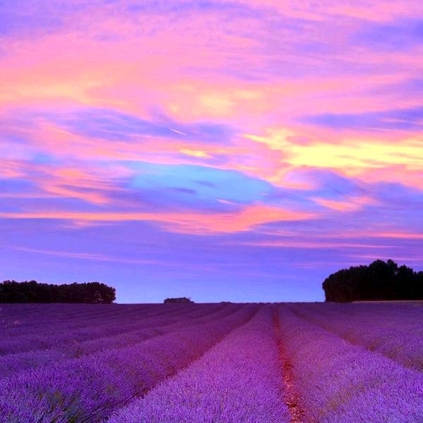 知足常乐《谢绝连赞!关赞必回》