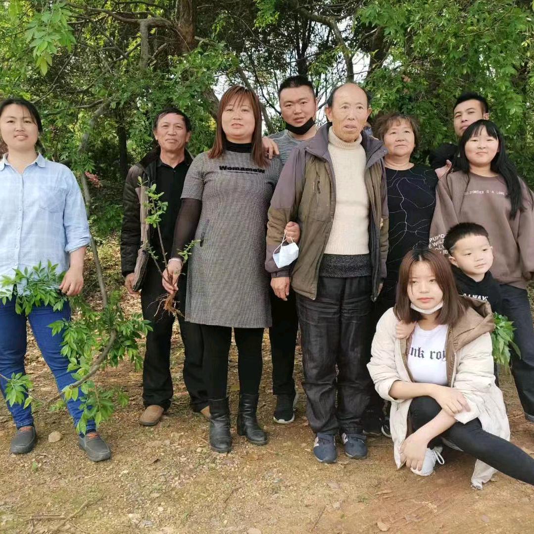 心想事成，儿孙满堂