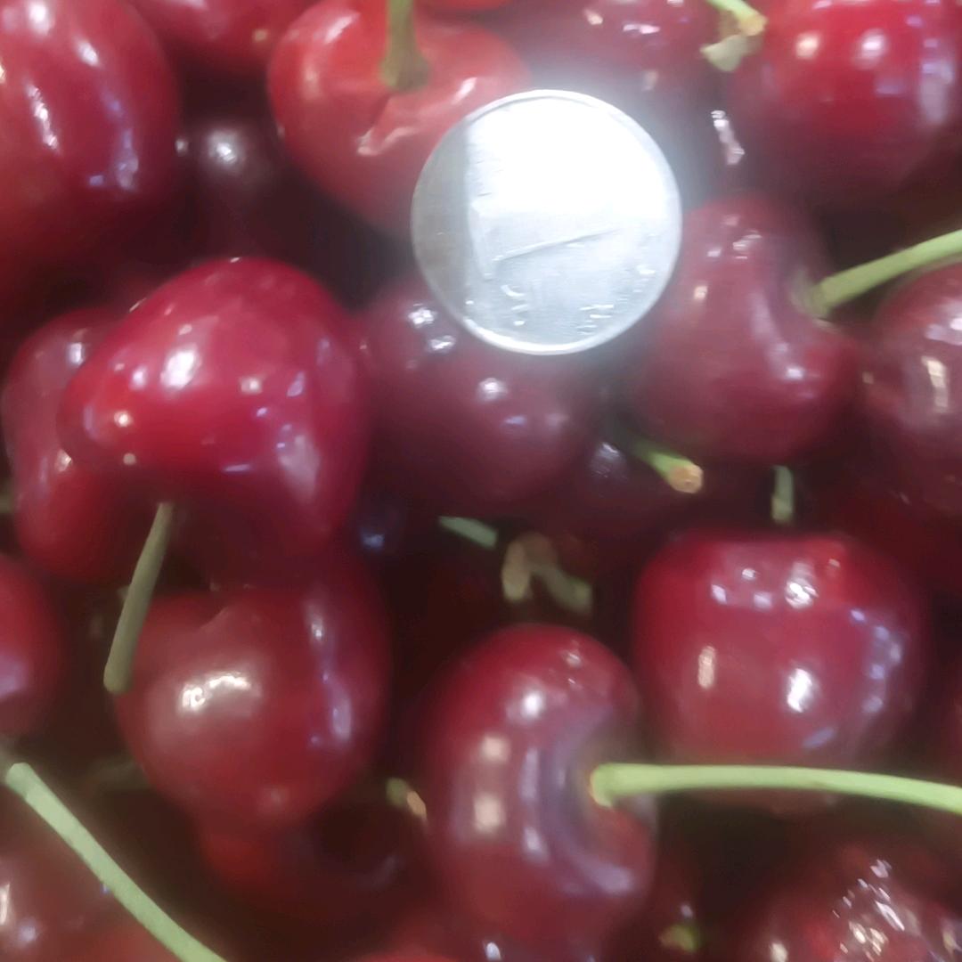 紫韵鲜果直播(晚6点)