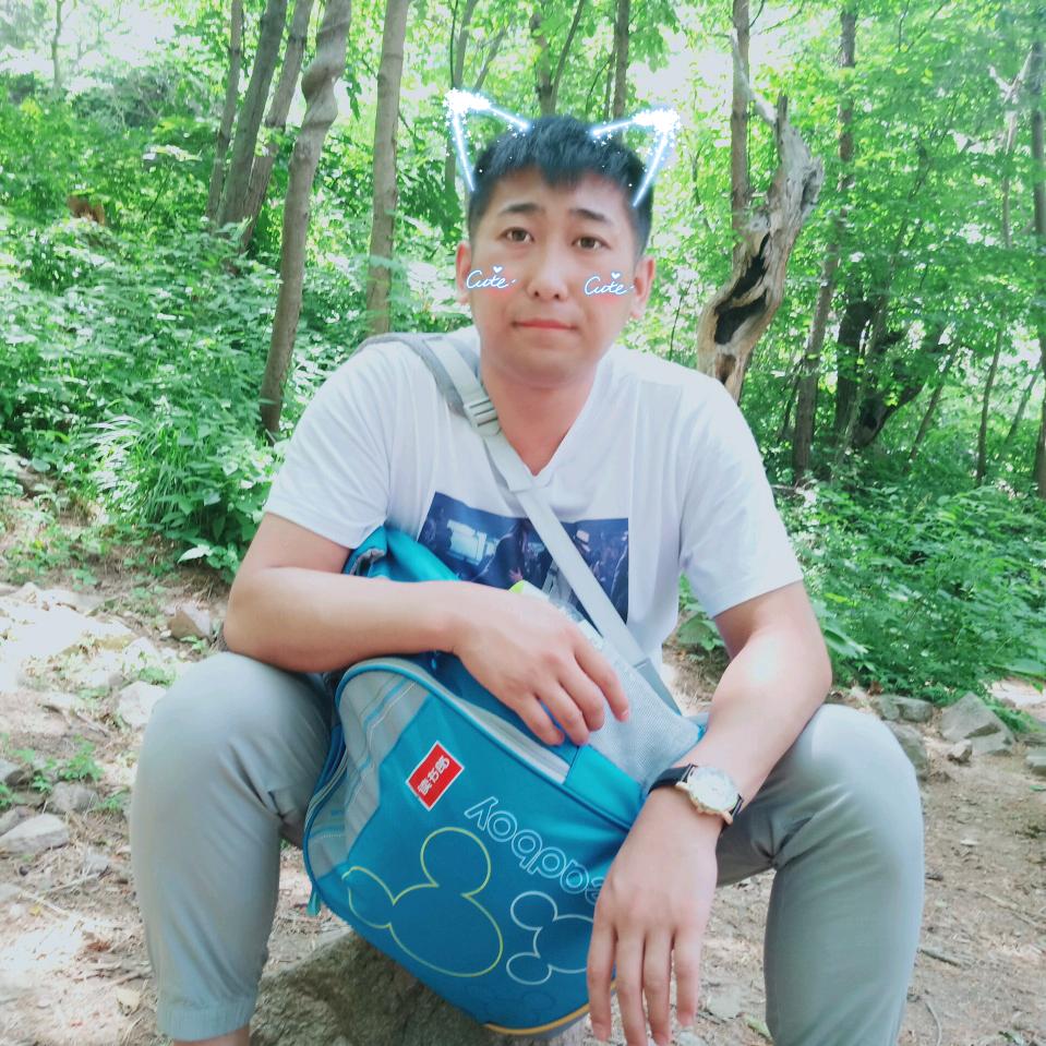 想你的懒猫