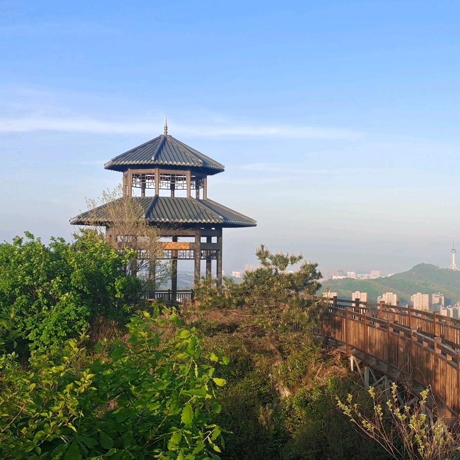 汪泉
