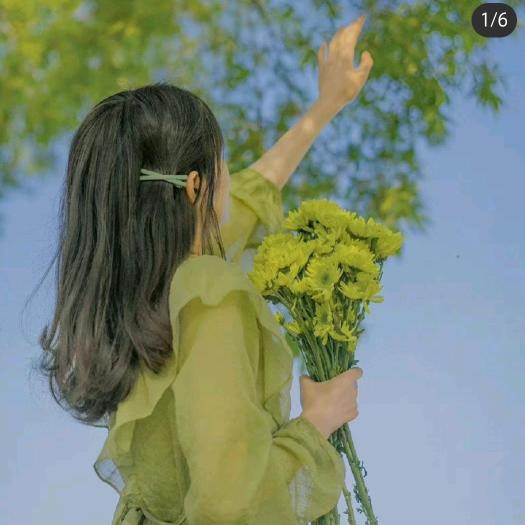 小青新❤❤❤