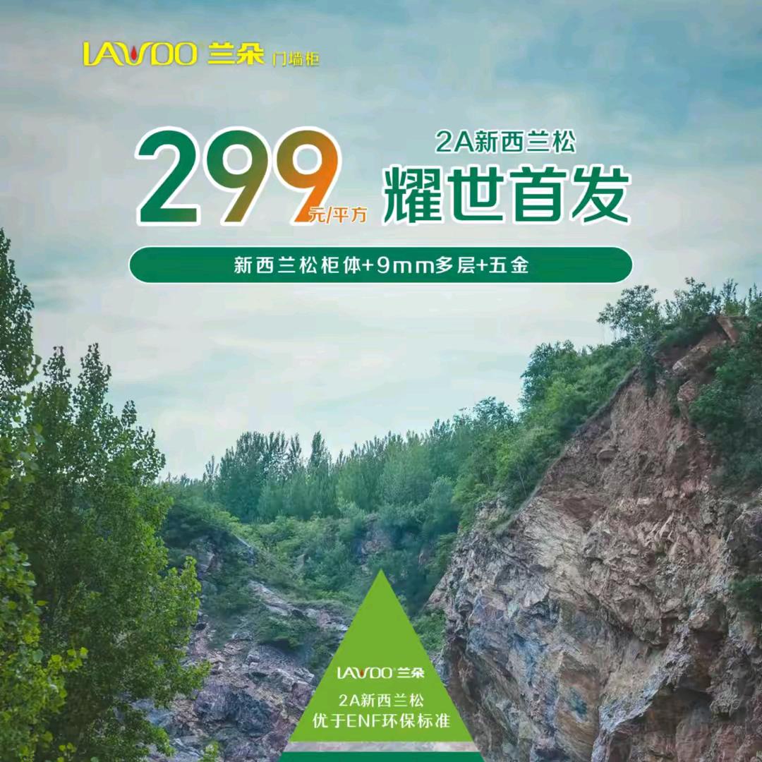 全屋定制源头工厂小侯