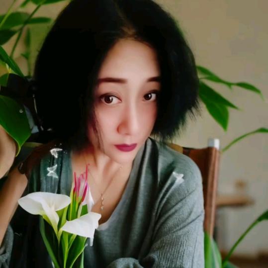 孤芳