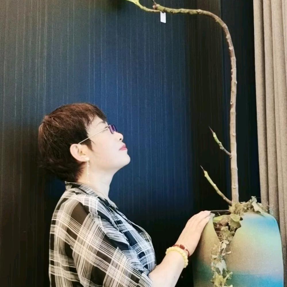 宋春雨（康惠体检）