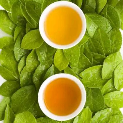 🍃阳光茶缘🍵