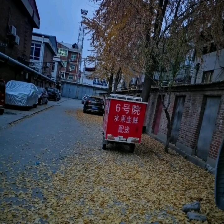 东大街6号院院里水果店