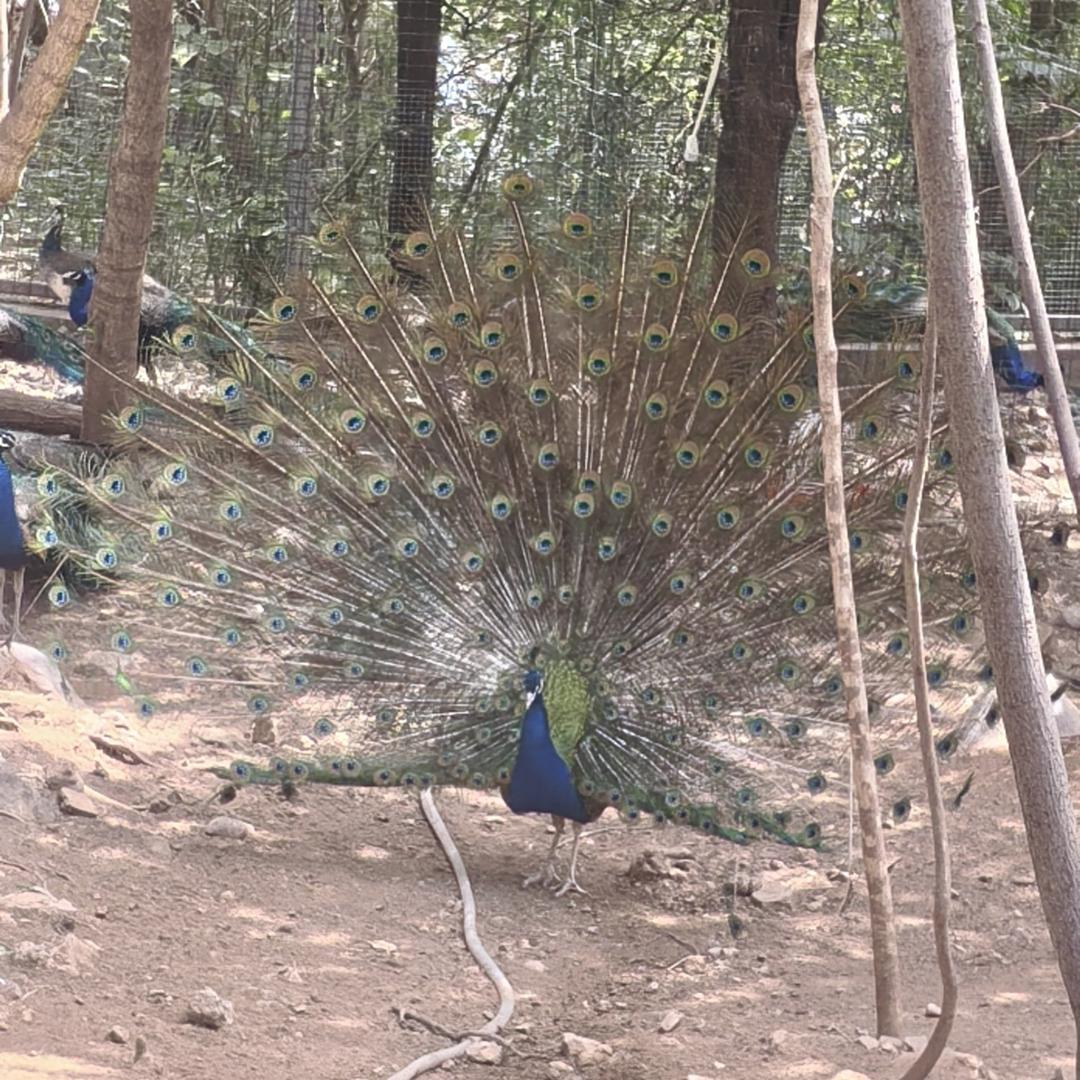 🥂ꦿ꯭微醺ঞৣঁ🥀 დ᭄💞⃟