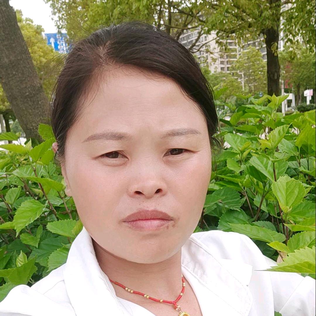 单只蝴蝶