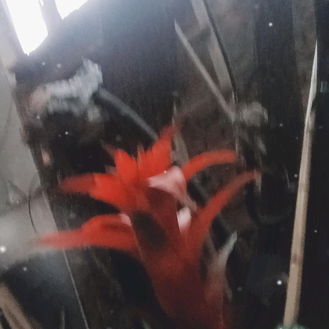 锐意进取，