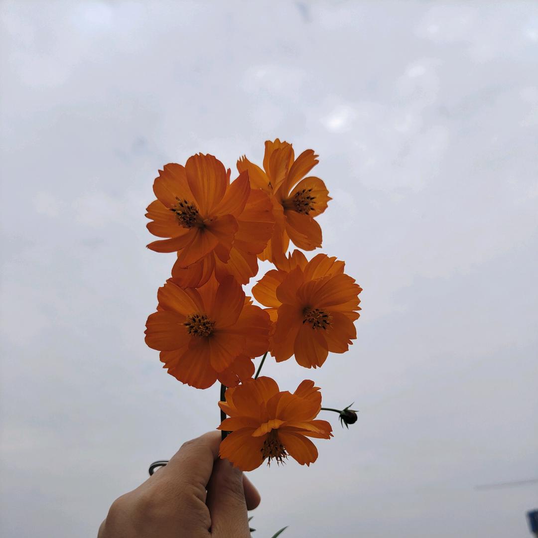 久久81