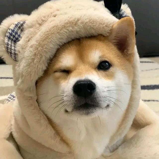 小米直升机