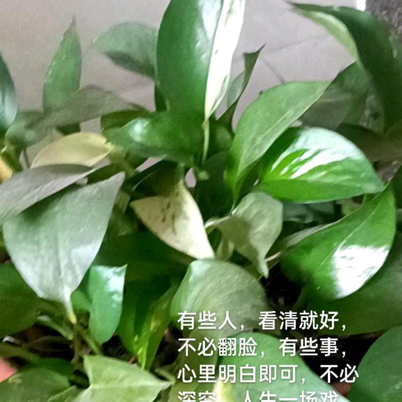 hna