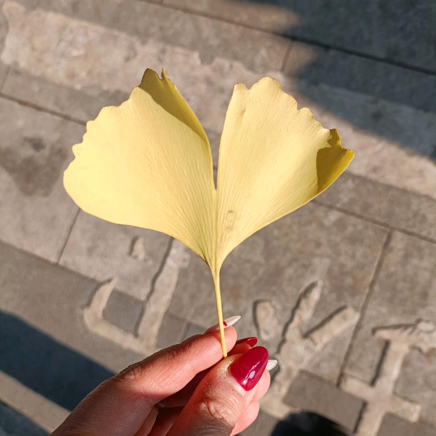 活出自己想要的样子