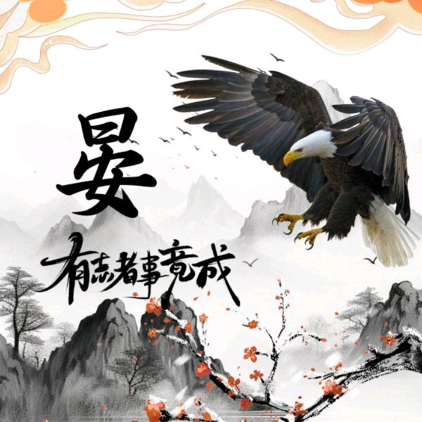 爱臭美的宝
