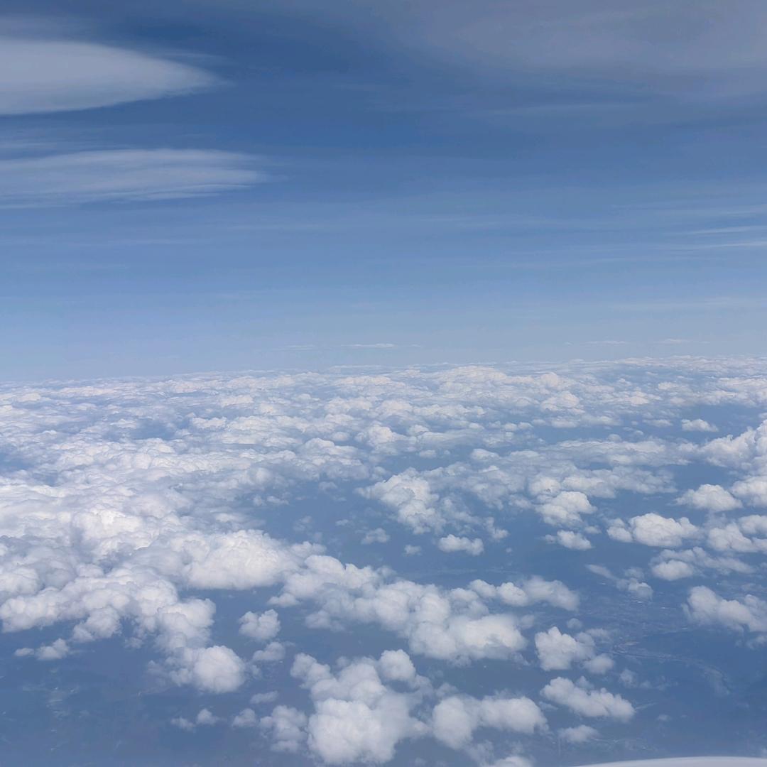 法蓝西烘焙培训