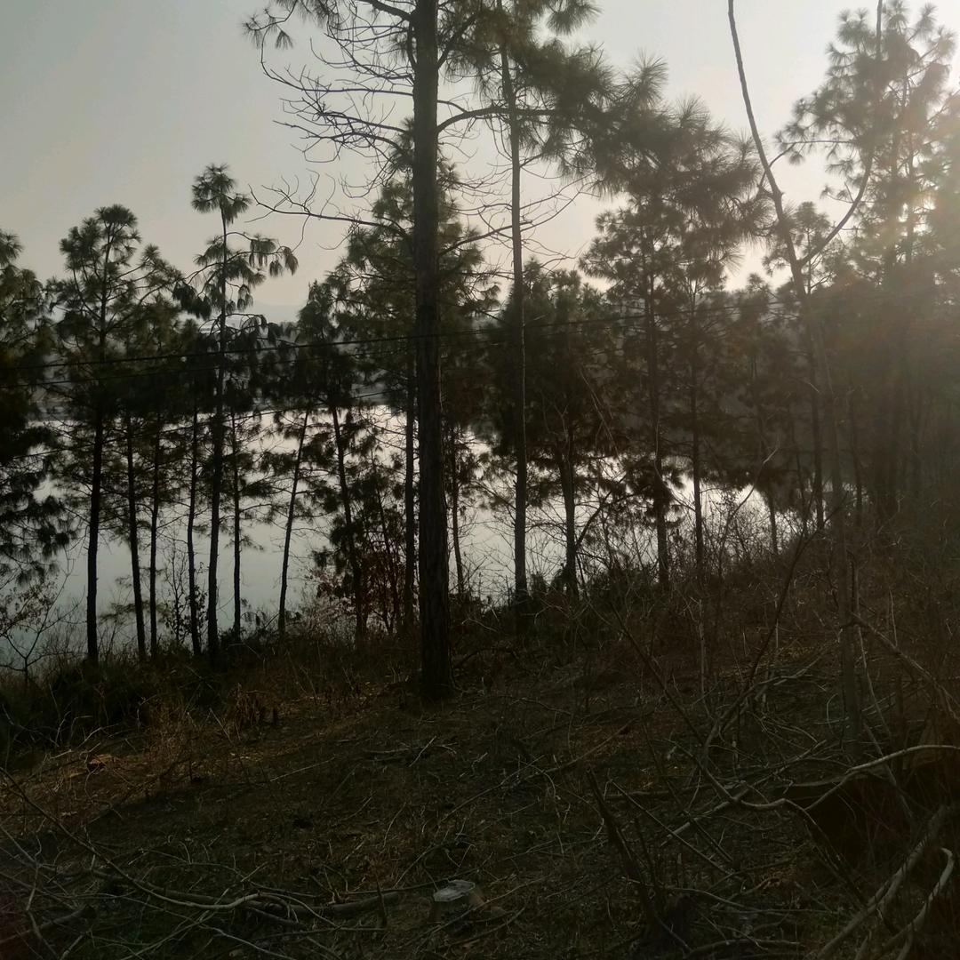 山里人好牛羊肉店