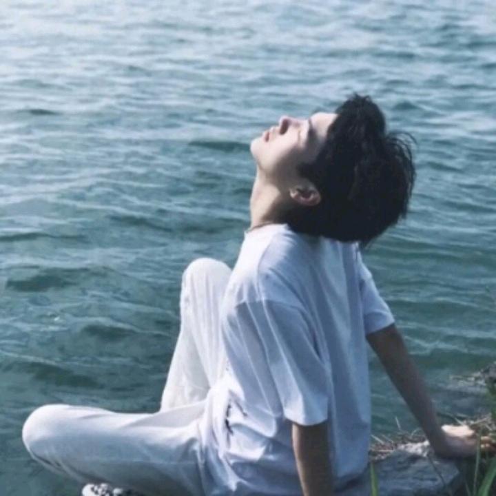 TR.花海