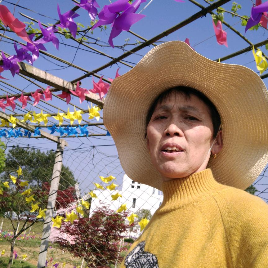 若兰好物