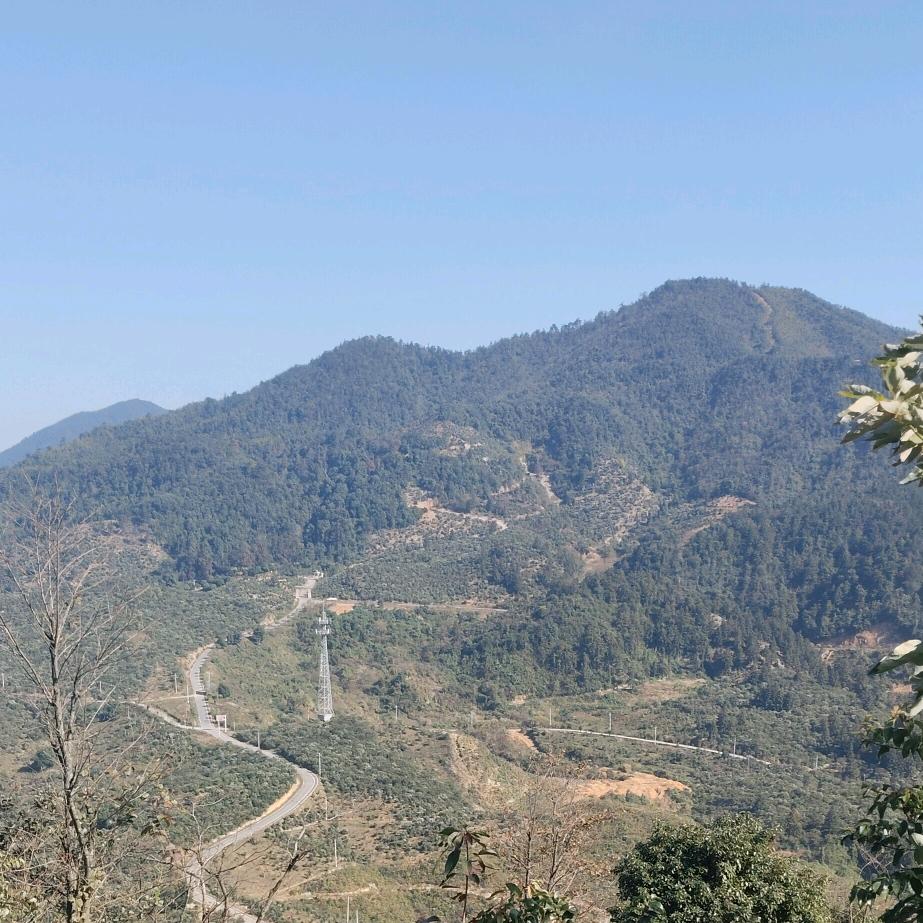 山有木兮木有枝