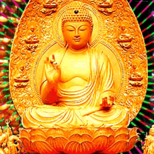 千世轮回今世缘