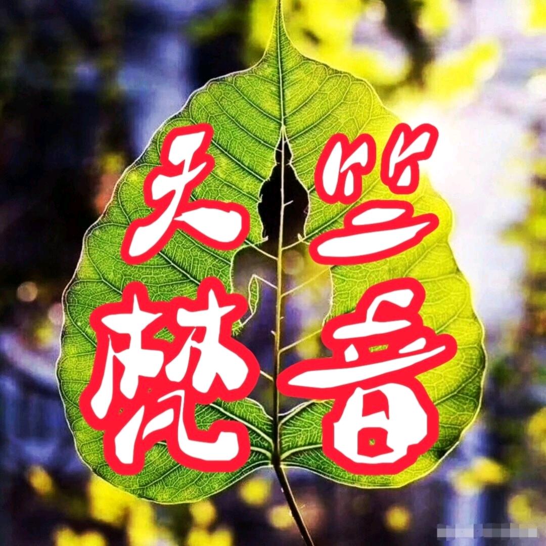 天竺梵音
