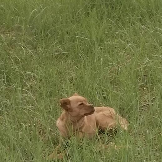 🧚‍♂️晴空万李💘(ಡ