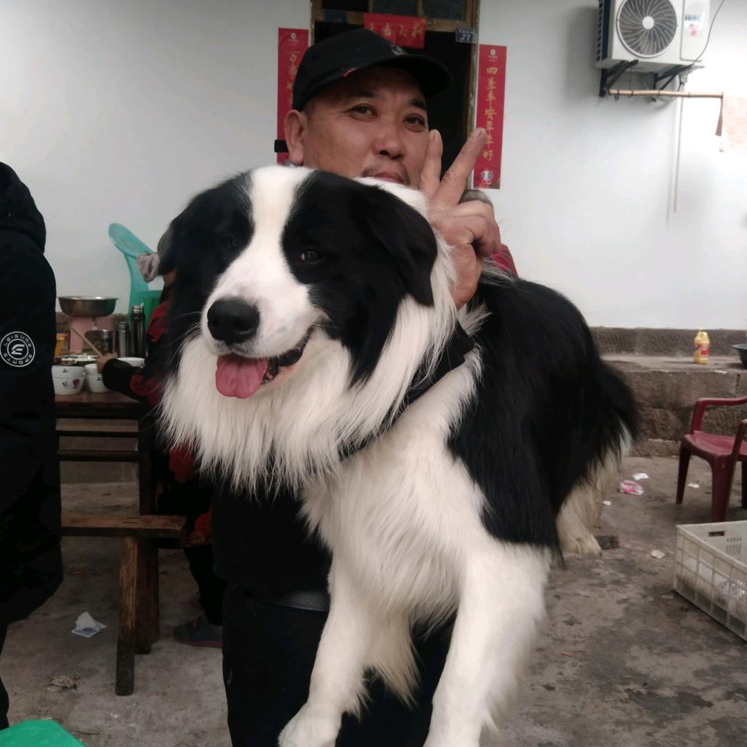 老梁
