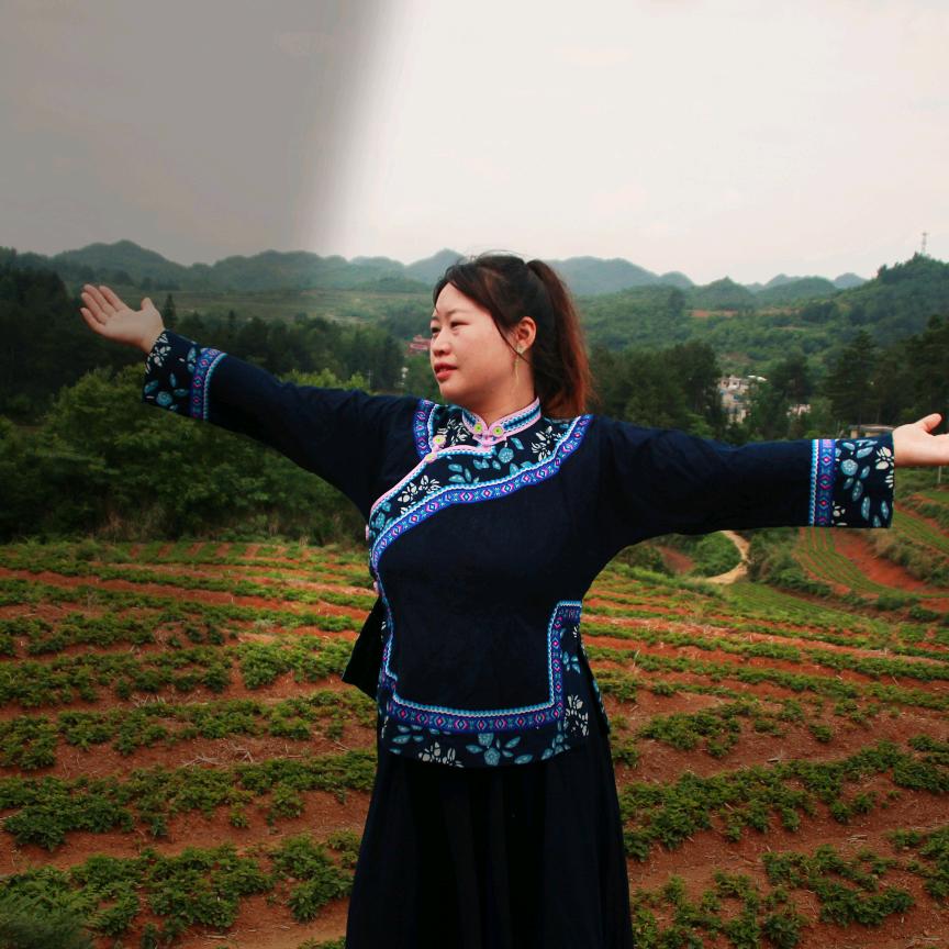 贵州菊子
