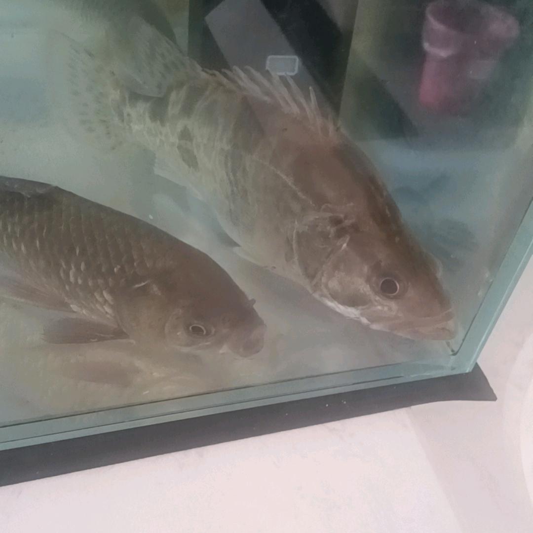 阳光