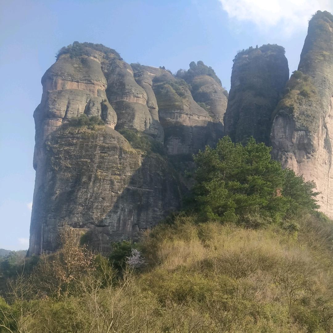 郎峰小白熊