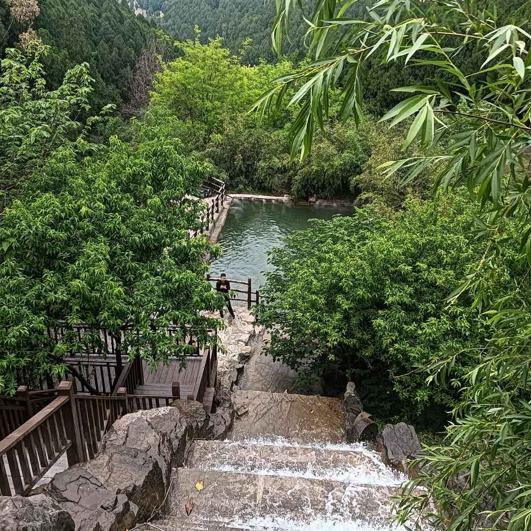 柿柿顺心