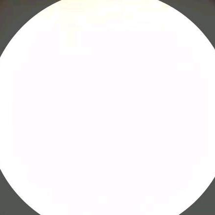 至此鲜花赠自己