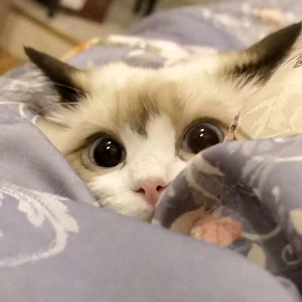 知足常乐