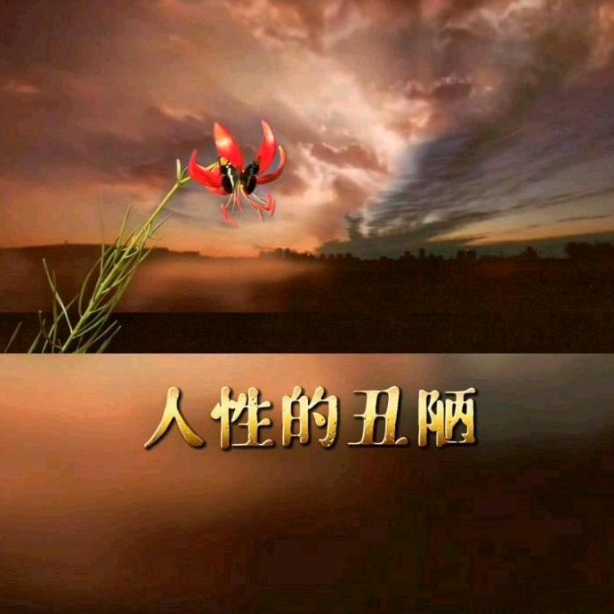 千凝☁