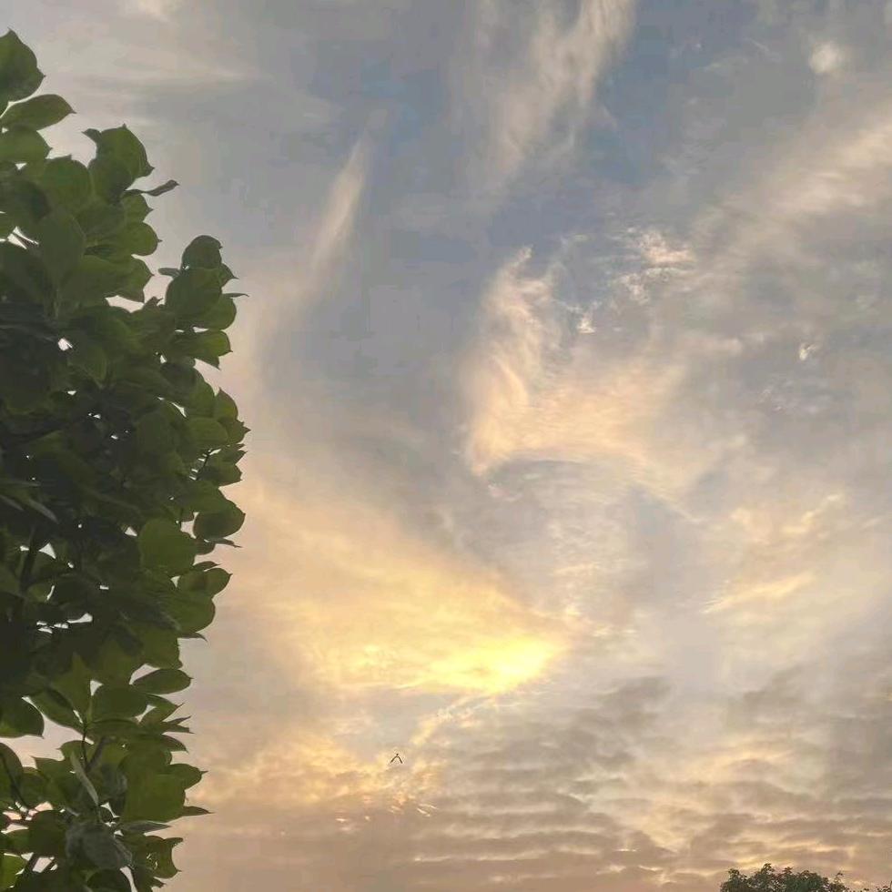 哈哈ｸﾞｯ!(๑•̀ㅂ•́)و✧