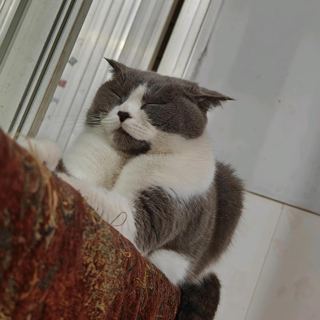 小小的我