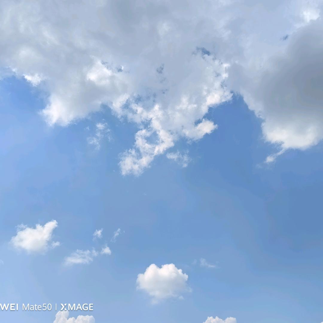 浅景苒涵