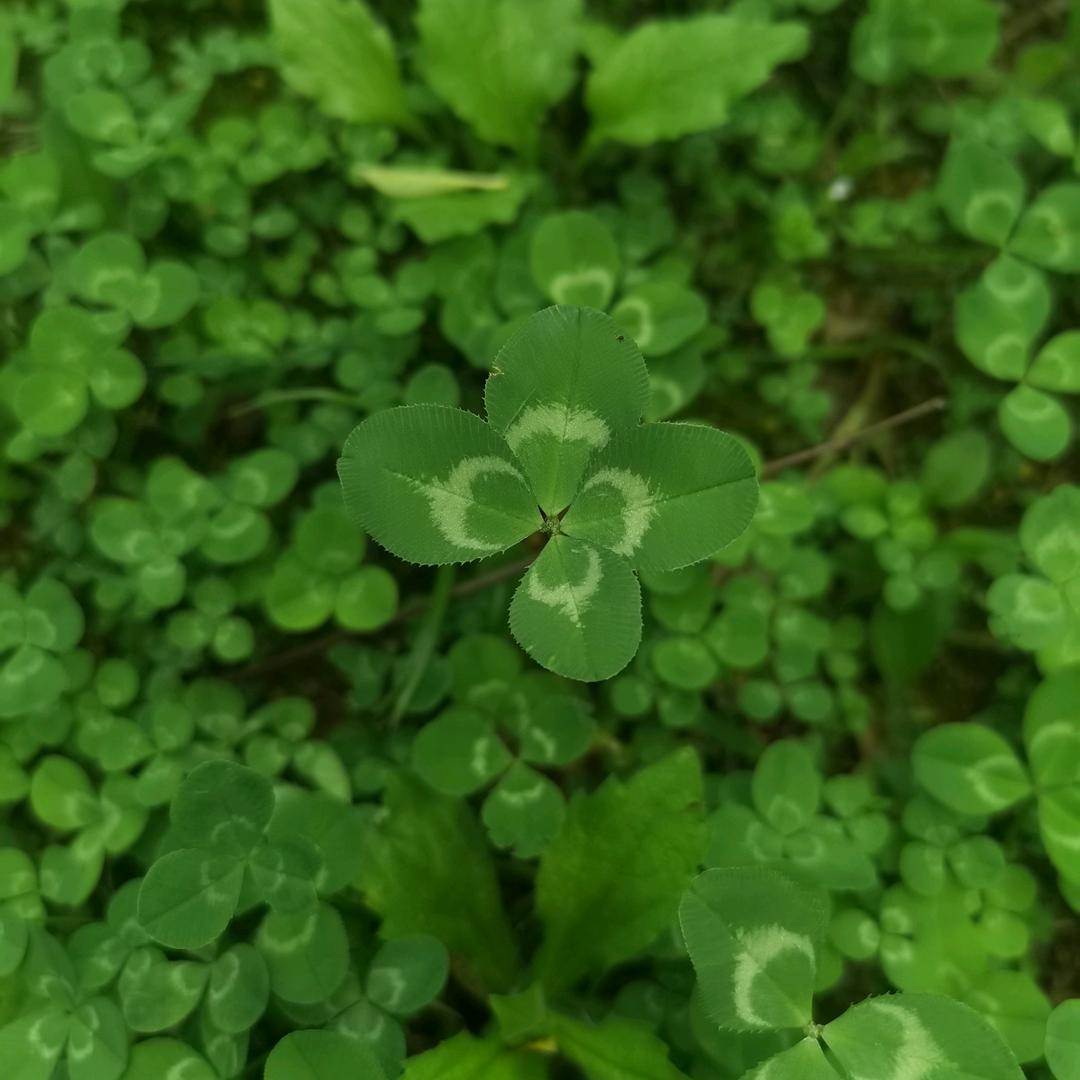 ૮₍♡ 吴忧吴虑 ♡₎ა💞