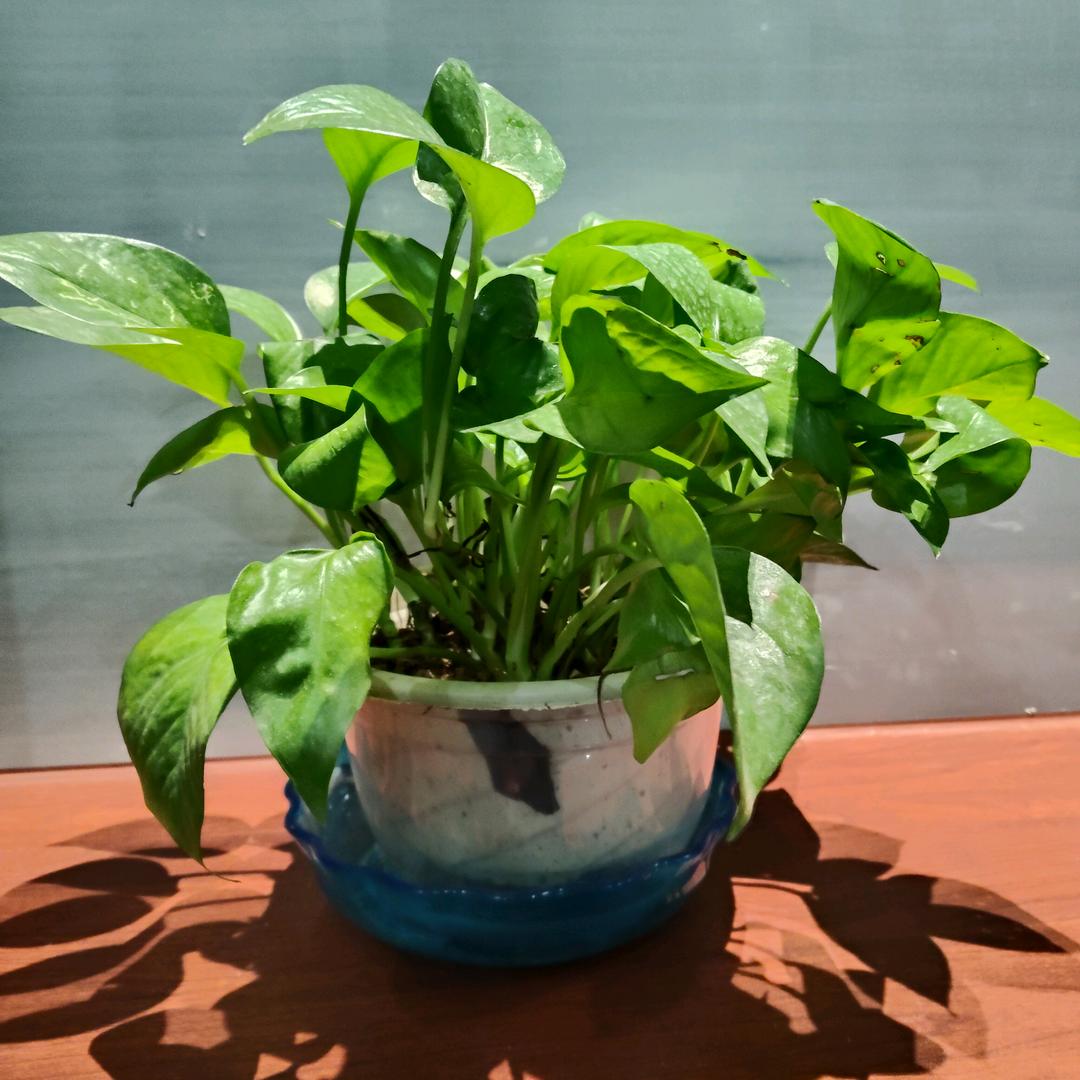 周红英123越来越好