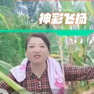 英儿姐